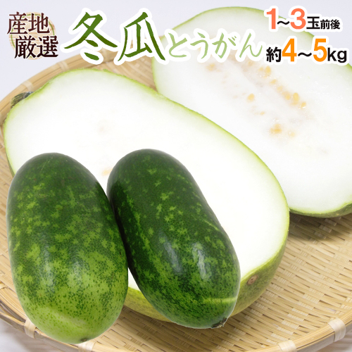 冬瓜